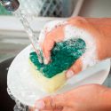 Detergente ecológico será fabricado con proteína del páncreas