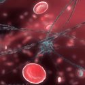 Se logran obtener de forma directa hasta 50,000 neuronas por cada mililitro de sangre