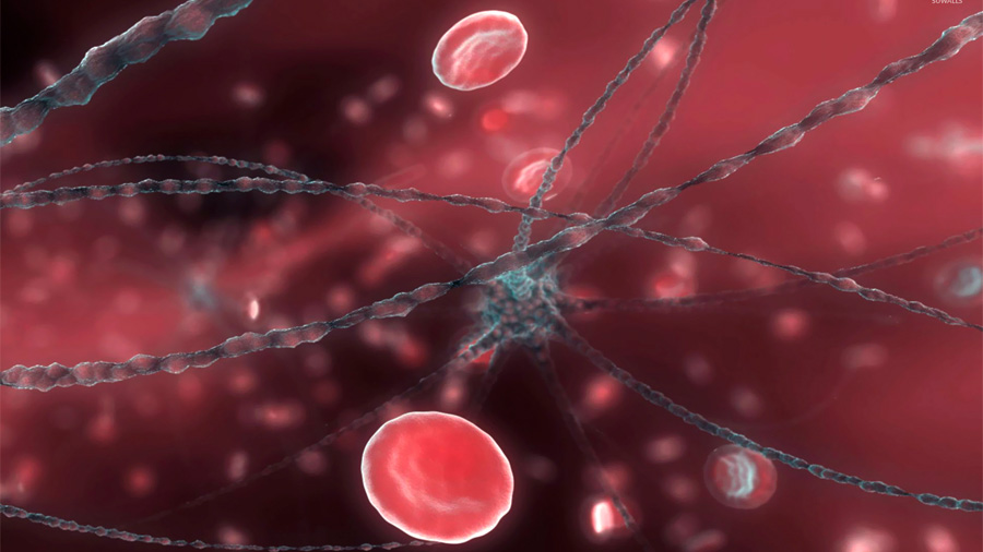 Se logran obtener de forma directa hasta 50,000 neuronas por cada mililitro de sangre