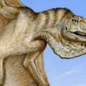 Científicos descubren fósil del primer vertebrado volador: Tenía 110 dientes y 4 colmillos