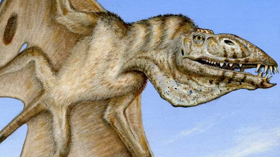 Científicos descubren fósil del primer vertebrado volador: Tenía 110 dientes y 4 colmillos