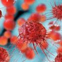 Descubren que un gen promotor del cáncer puede ayudar a frenarlo