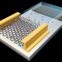 Crean una sinapsis artificial basada en grafeno que imita la forma de la cognición humana