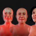 Así era el rostro de Eva de Naharon, el fósil humano más antiguo de América que fue hallado en México