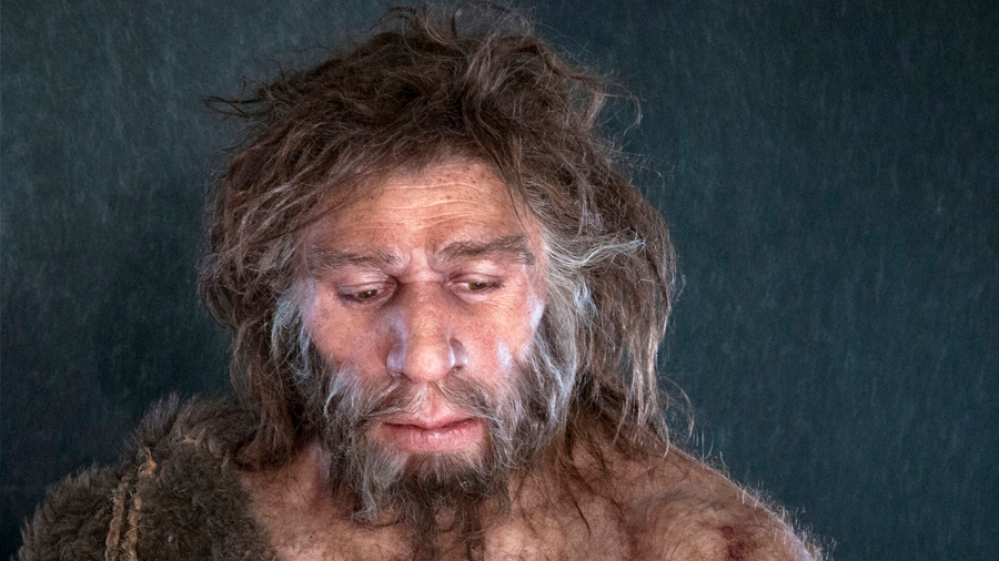 El frío habría acabado con los neandertales en la última era glacial