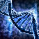 Descubren que el genoma humano podría contener hasta un 20% menos de genes de lo que se pensaba
