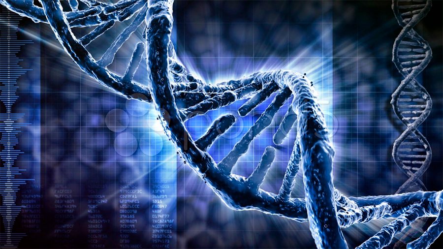 Descubren que el genoma humano podría contener hasta un 20% menos de genes de lo que se pensaba