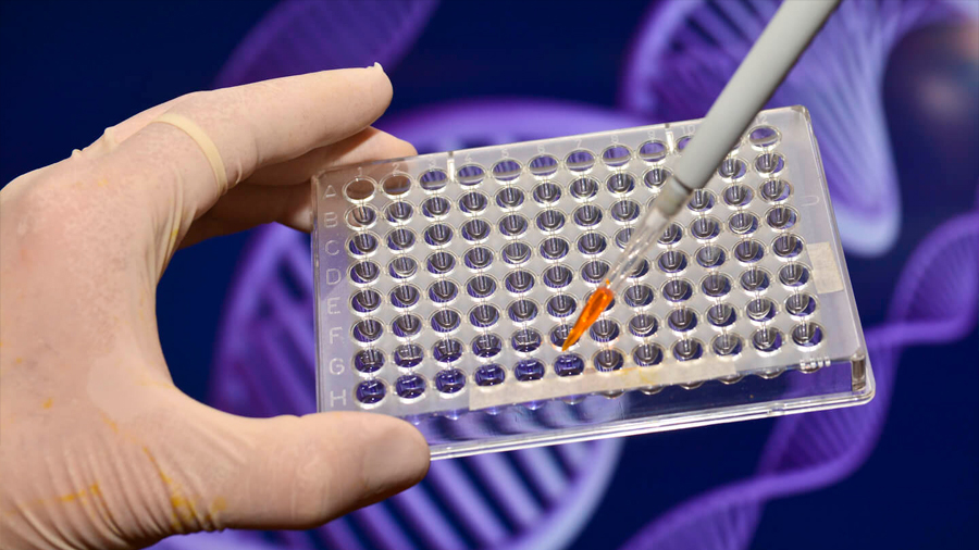 Desarrollan con éxito pruebas de variaciones genéticas que detectan el tiempo de las enfermedades