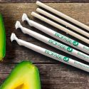 Crea empresa mexicana popotes de aguacate que se autodegradan en ¡280 días!