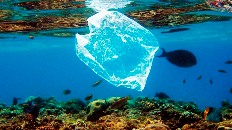 Científicos chinos desarrollan plástico que se degrada en el mar en unos cien días