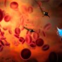 Este sistema GPS rastrea el interior del cuerpo humano