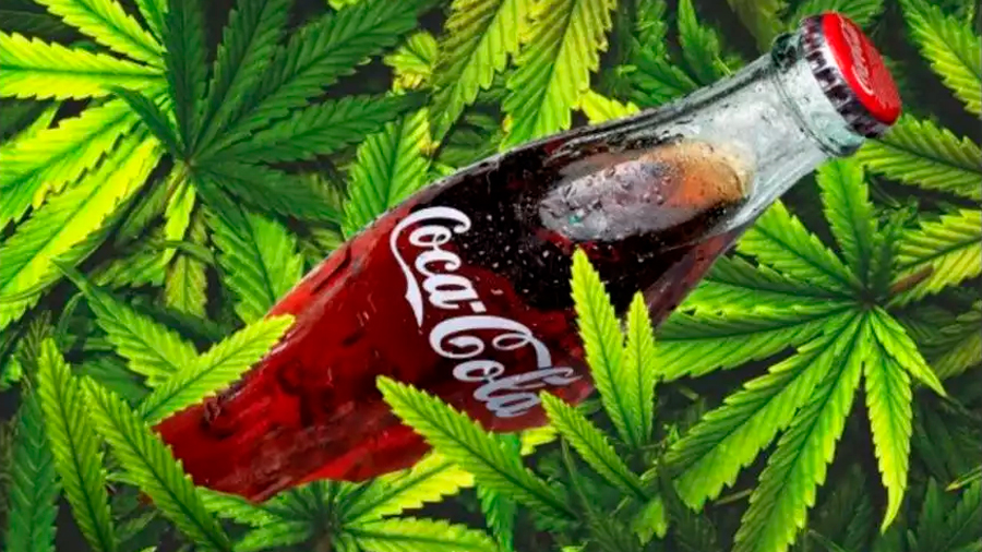 Coca-Cola estudia preparar bebidas de marihuana con la canadiense Aurora