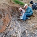 La mayor extinción masiva duró un 'instante' geológico de 31,000 años