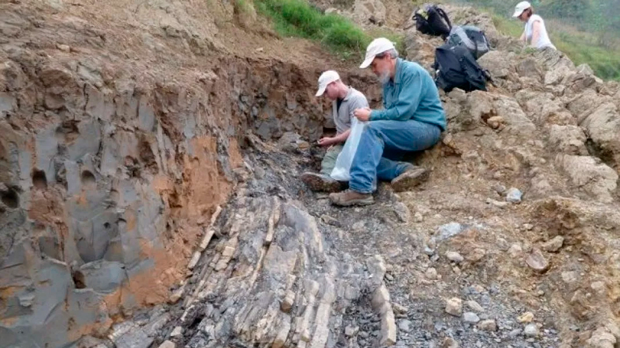 La mayor extinción masiva duró un 'instante' geológico de 31,000 años