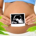 El consumo de cannabis durante el embarazo afecta al feto