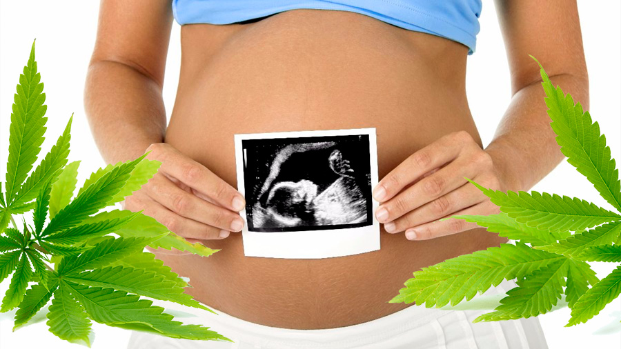 El consumo de cannabis durante el embarazo afecta al feto
