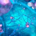 Científicos descubren nuevo método para combatir Alzheimer