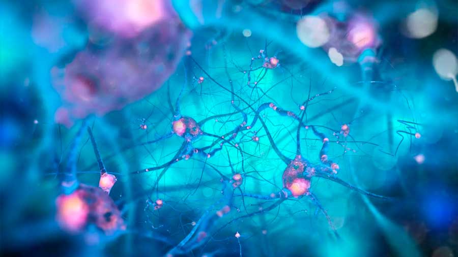 Científicos descubren nuevo método para combatir Alzheimer