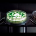 ¿Microbios peligrosos en el espacio? Sí, pero los enviamos nosotros