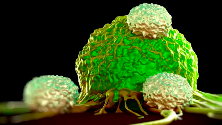 Investigadores descubren cómo se reactiva un cáncer y se producen metástasis