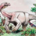 Descubren a un dinosaurio de 120 toneladas, el animal más grande que pisó la Tierra