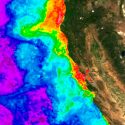 Solución al misterio de las toxinas en las mareas de algas que asolan costas de todo el orbe