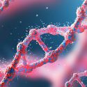 Una cuarta parte de los 20,000 genes codificadores de proteína en el humano no sido objeto de un artículo específico