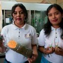Obtienen estudiantes de ingeniería combustible limpio a partir de aguas negras