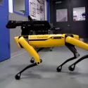 El perro robot ya se puede comprar, pero aún no está claro para qué sirve