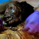 Revelan el misterio del cuerpo momificado que fue hallado hace 7 años en NY