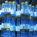 Los científicos piden crear un Arca de Noé de microbios beneficiosos