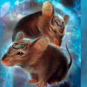 Descubren como mantener joven el cerebro eliminando las células más viejas