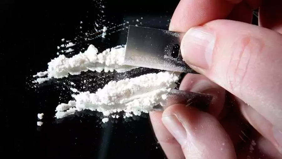 Investigadores españoles descubren cómo atenuar la adicción a la cocaína