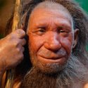Los humanos modernos heredaron las defensas virales de los neandertales