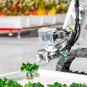 Agricultura 100 % robótica para resolver los dos grandes retos del sector