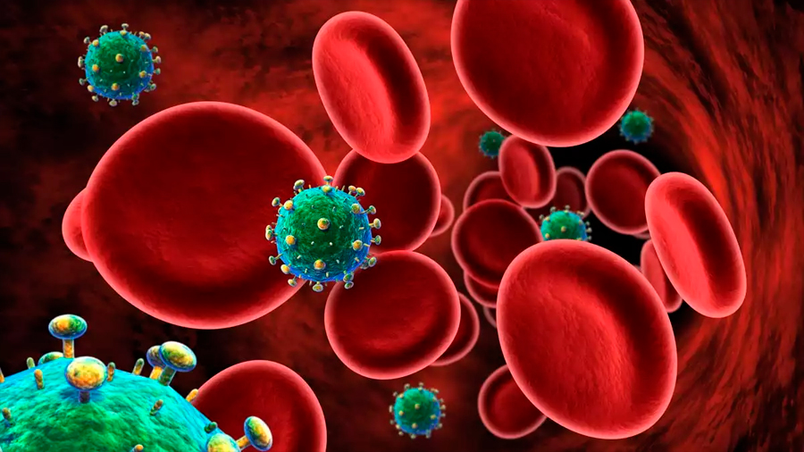 Un grupo de científicos suizo profundiza anticuerpos que neutralizan el virus del sida
