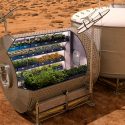 Cultivar en el espacio será posible gracias a una hormona vegetal