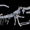 El secreto del enorme tamaño de los dinosaurios, resuelto gracias a un nuevo fósil