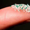 Los microplásticos ya han llegado al intestino humano