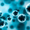 Bielorrusos hallan tratamiento contra la tuberculosis resistente a antibióticos