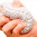 El estrés puede transformar el tamaño de tu cerebro
