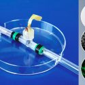 Crean un 'órgano en un chip' que aceleraría búsqueda de nuevos tratamientos para enfermedades