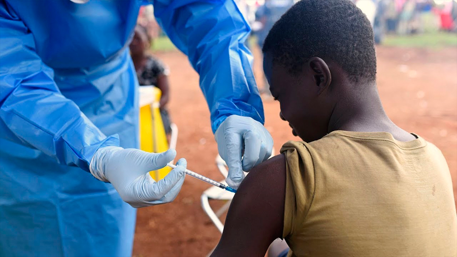 Tres vacunas experimentales contra el ébola logran respuesta inmune duradera
