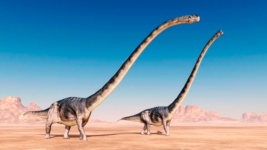 Científicos hallan en Sudamérica los restos de una especie de dinosaurio nunca antes vista