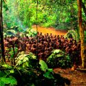 Explican que los pigmeos son bajos por adaptación evolutiva a la jungla