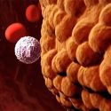 Investigadores descubren tratamiento prometedor contra tumores cerebrales agresivos
