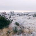 536, el peor año vivido por la humanidad: niebla polvorienta bloqueó al Sol y genero años de caos mundial y hambruna