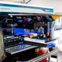 Pruebas de ADN solo aptas para blancos: cuando la ciencia discrimina