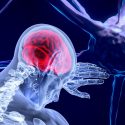 El cerebro archiva recuerdos siguiendo un orden secuencial