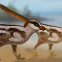 Hallan las huellas de dinosaurio más pequeñas del mundo